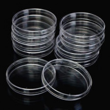 10 x 90mm plastic Petri Dishes gamma sterilized